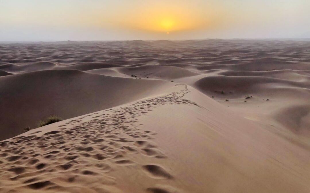 Eine Wüstenlandschaft - Der lange Weg zurück von Long Covid